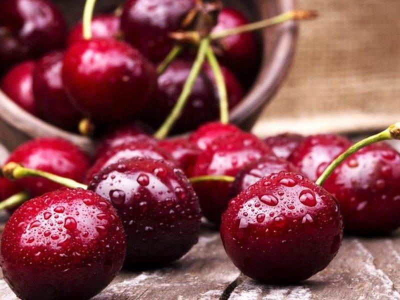 Вишня купить саженцы из питомника в Егорьевске